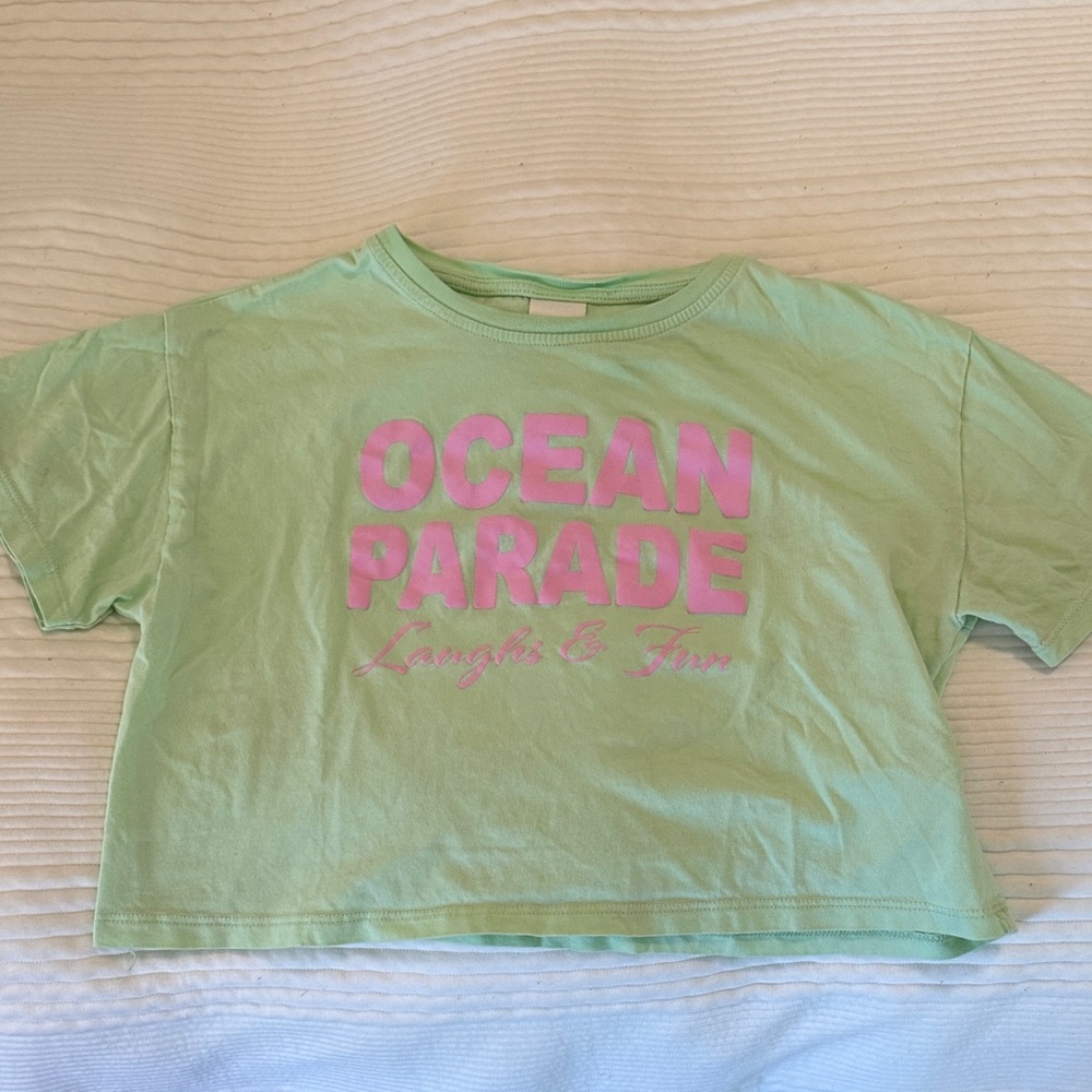 Zara Mint Green Crop Tee with Pink Print